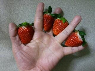 季節はずれの？